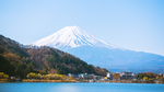 风景