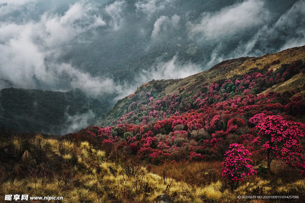 风景