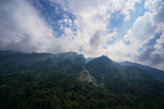 风景