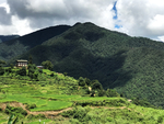 风景