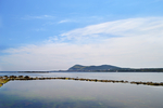 风景