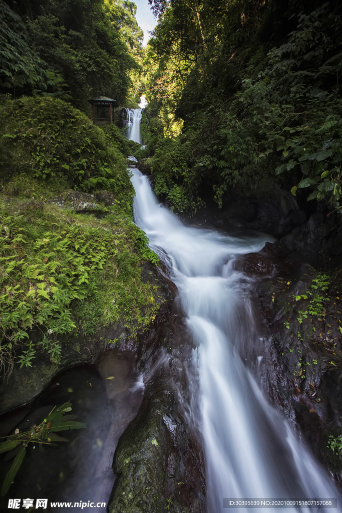 风景