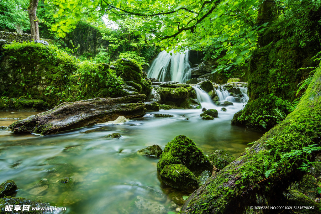 风景
