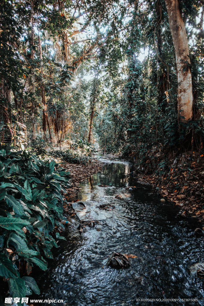 风景