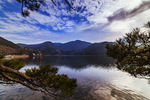 风景