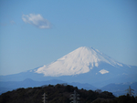 风景
