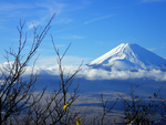 风景