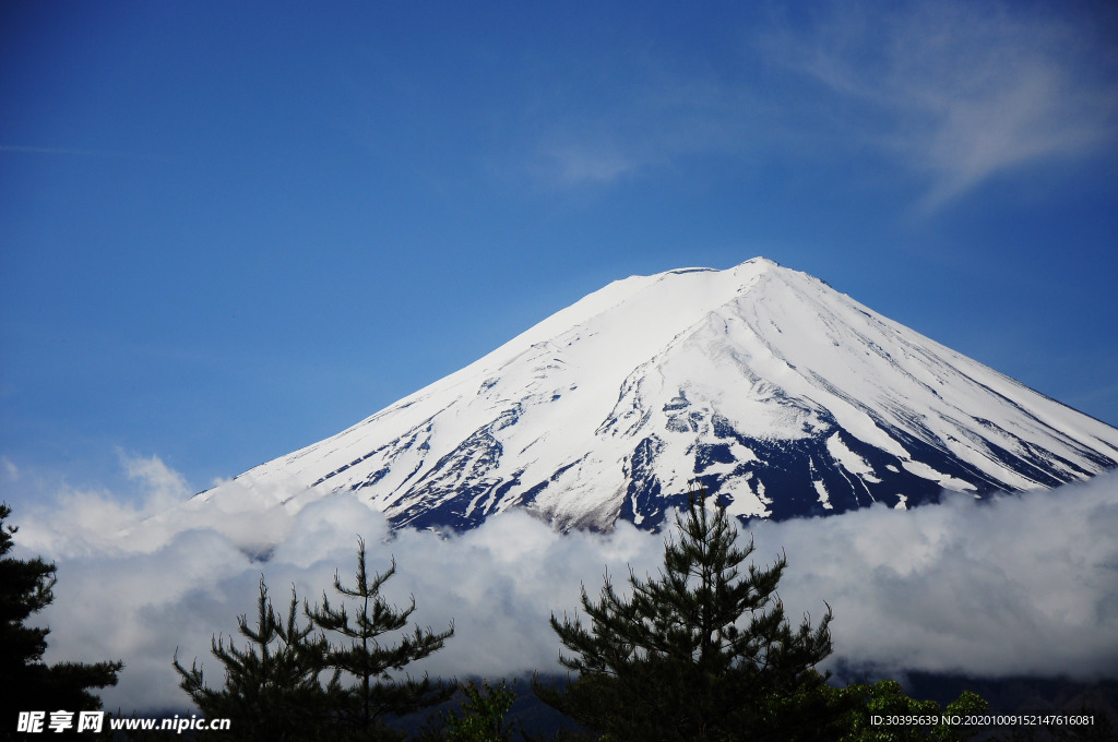 风景