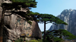 风景