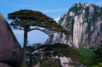 风景