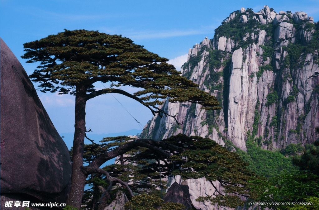风景