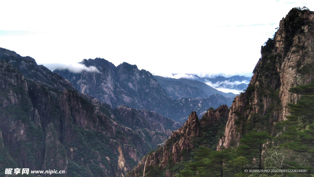 风景