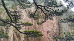 风景