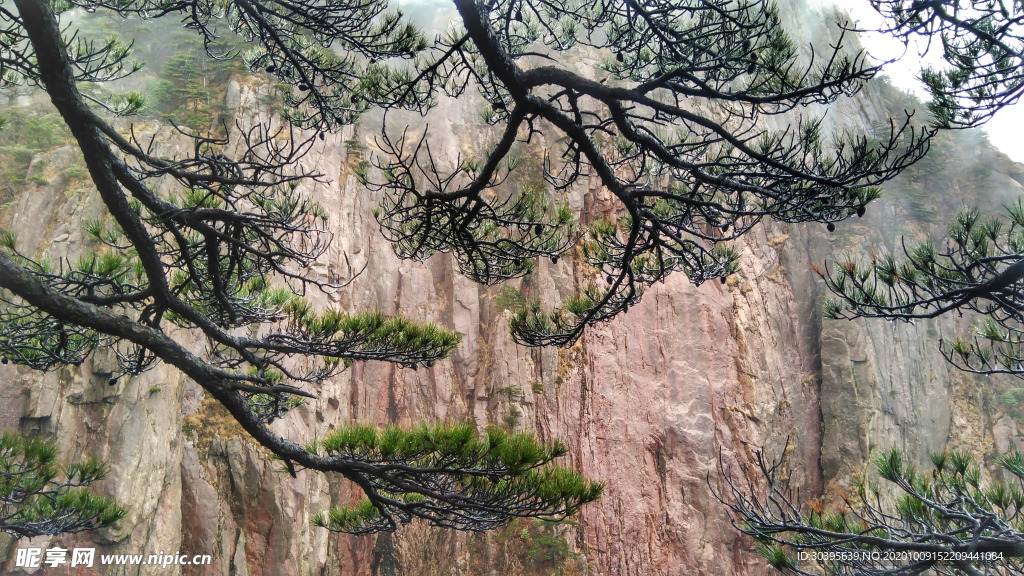 风景