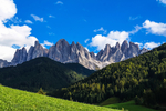 风景
