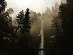 风景