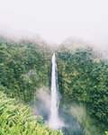 风景