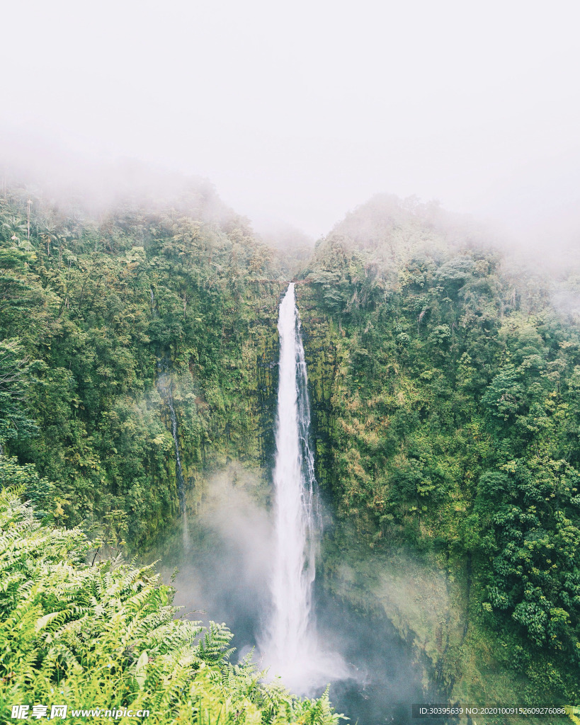 风景
