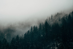 风景