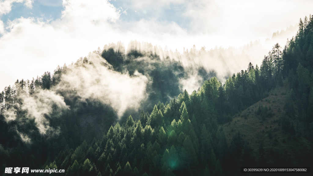 风景