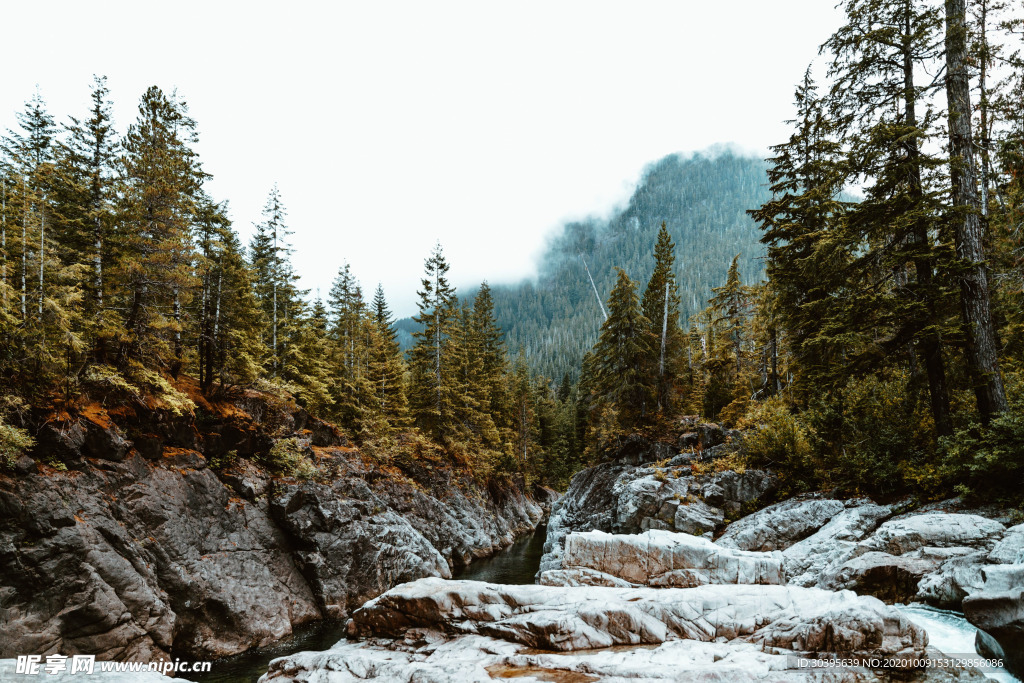 风景