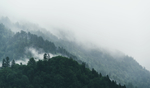 风景