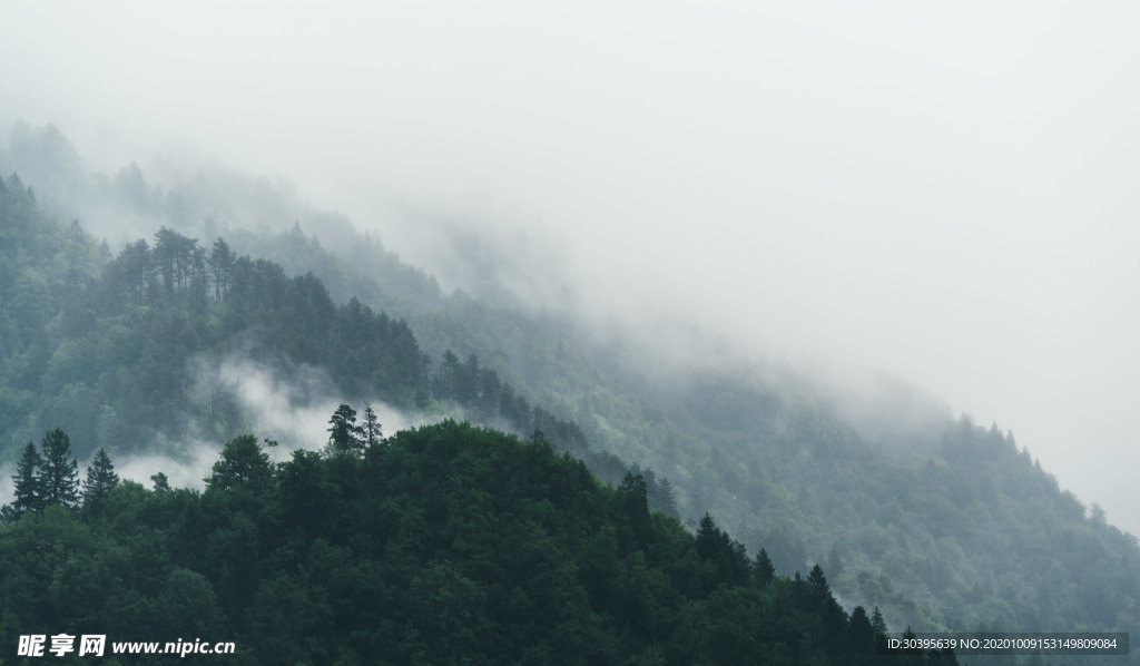风景