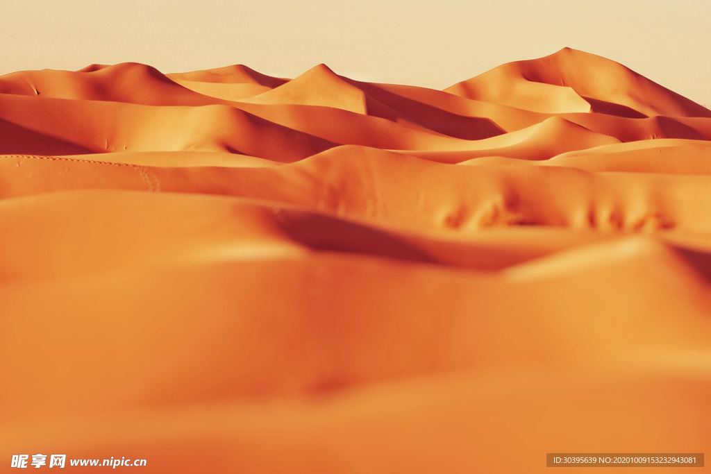 风景