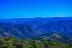 风景