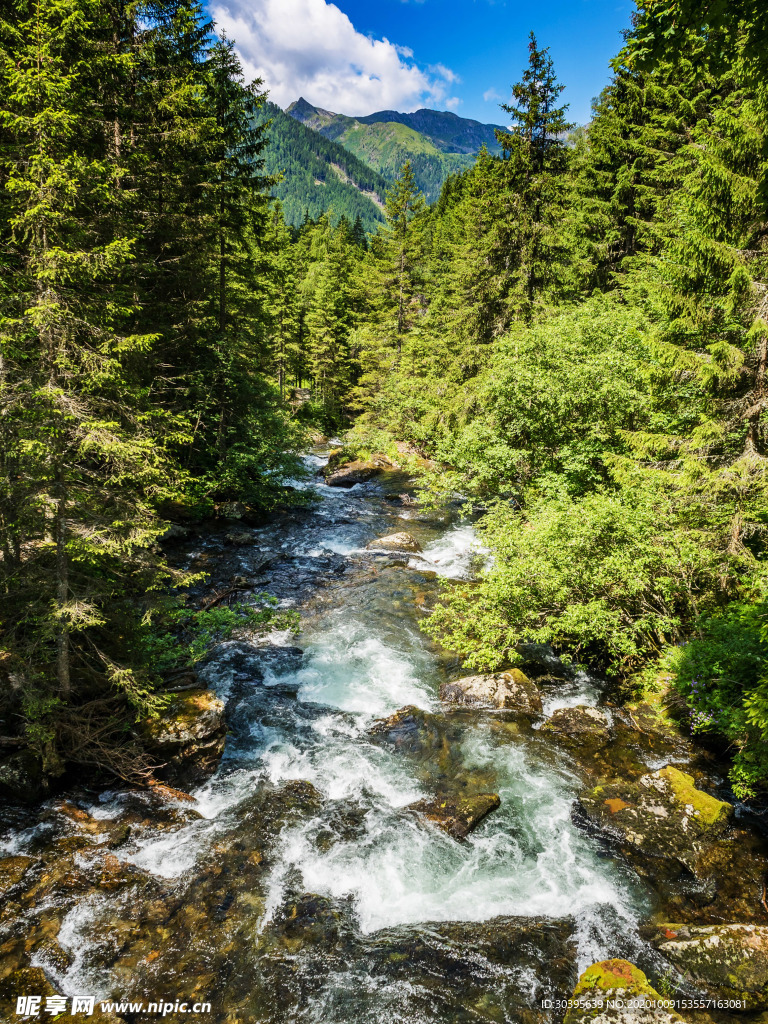 风景