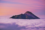 风景
