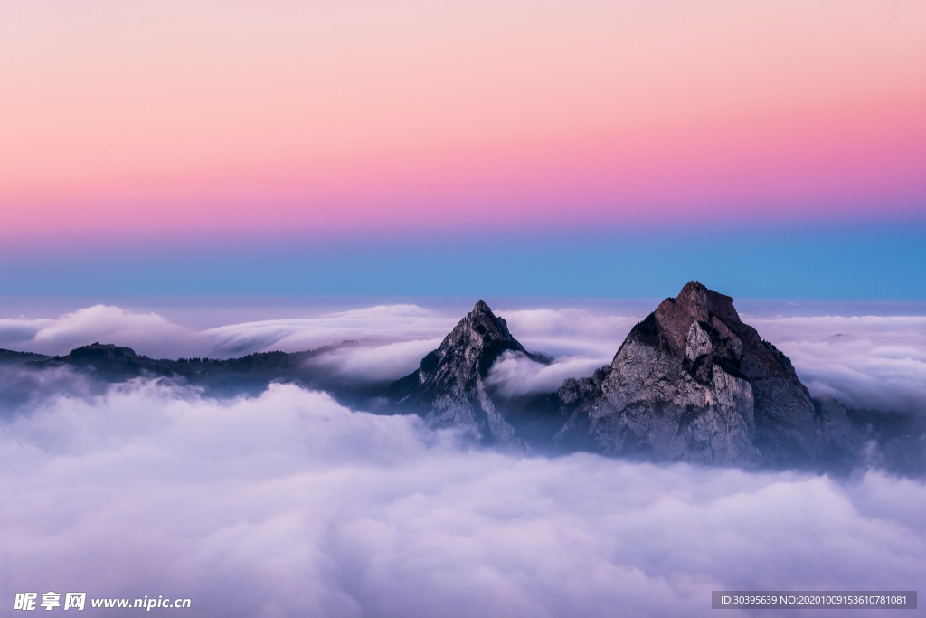 风景