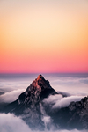 风景