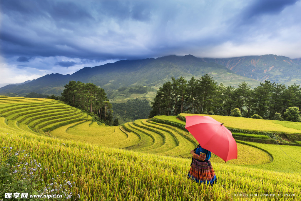 风景