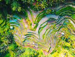 风景