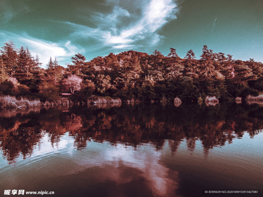 风景