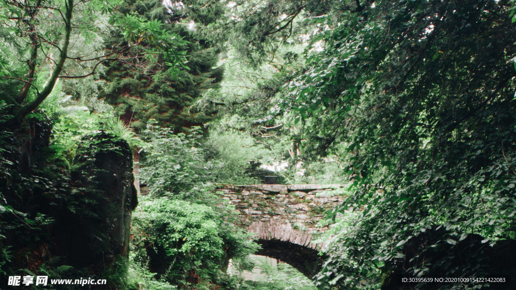 风景