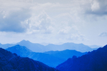 风景
