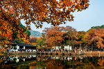 风景