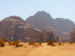 风景