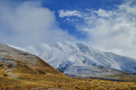 风景