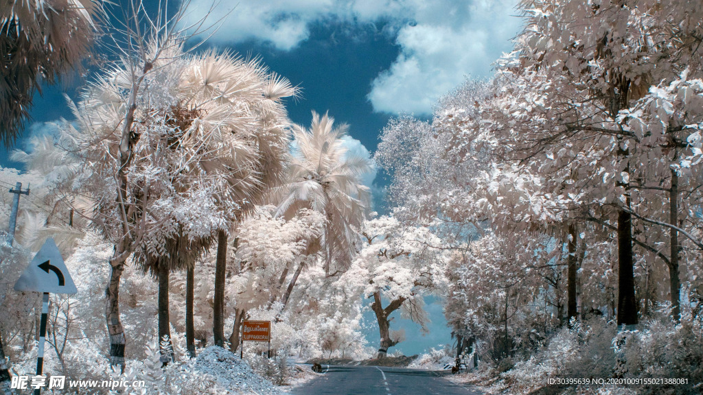风景