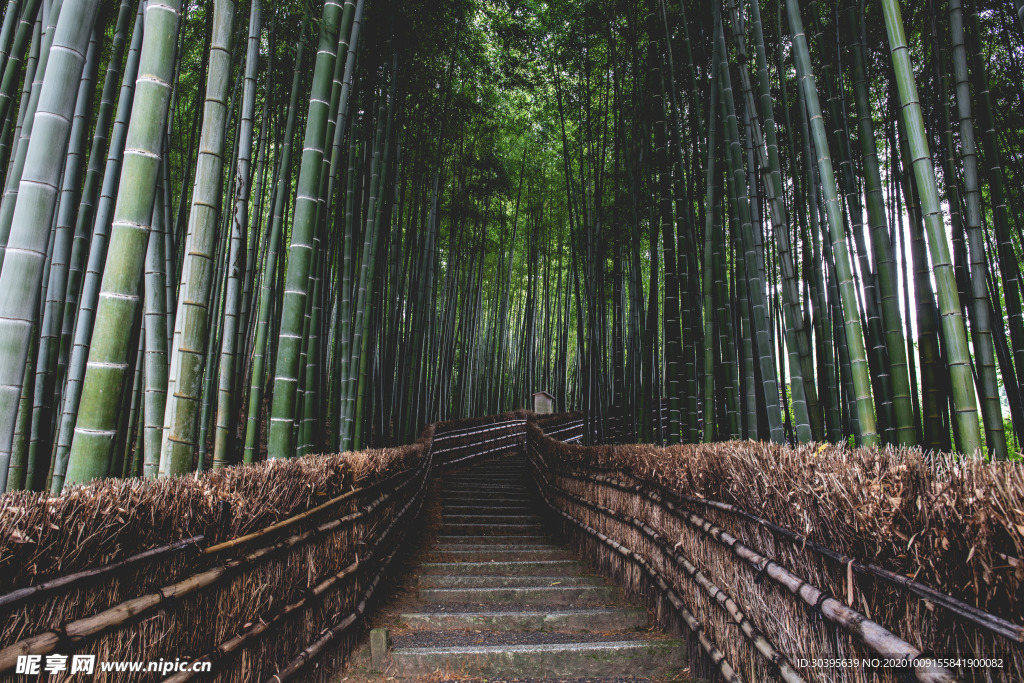 风景
