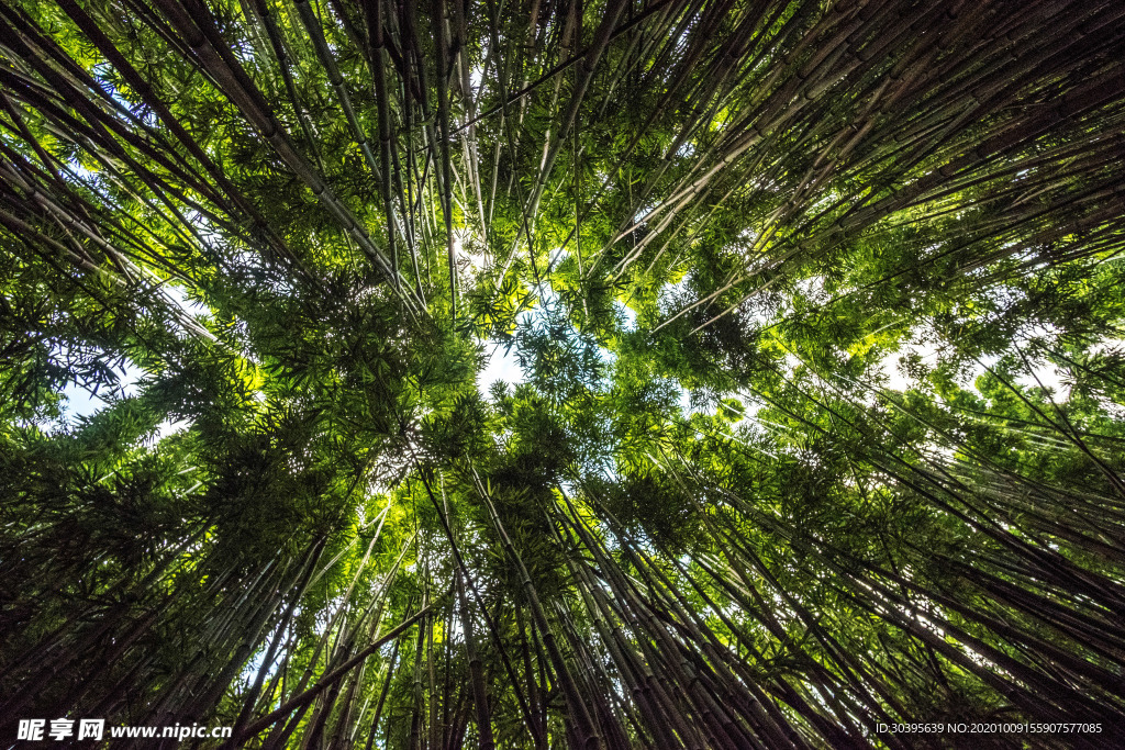 风景