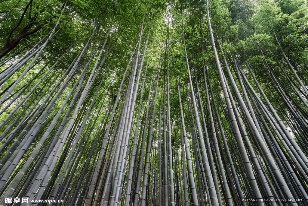 风景