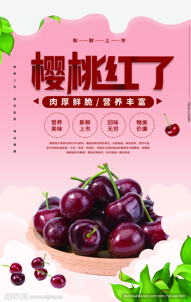 樱桃水果果实活动宣传海报素材