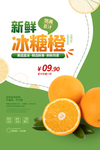 冰糖橙水果果实活动宣传海报素材