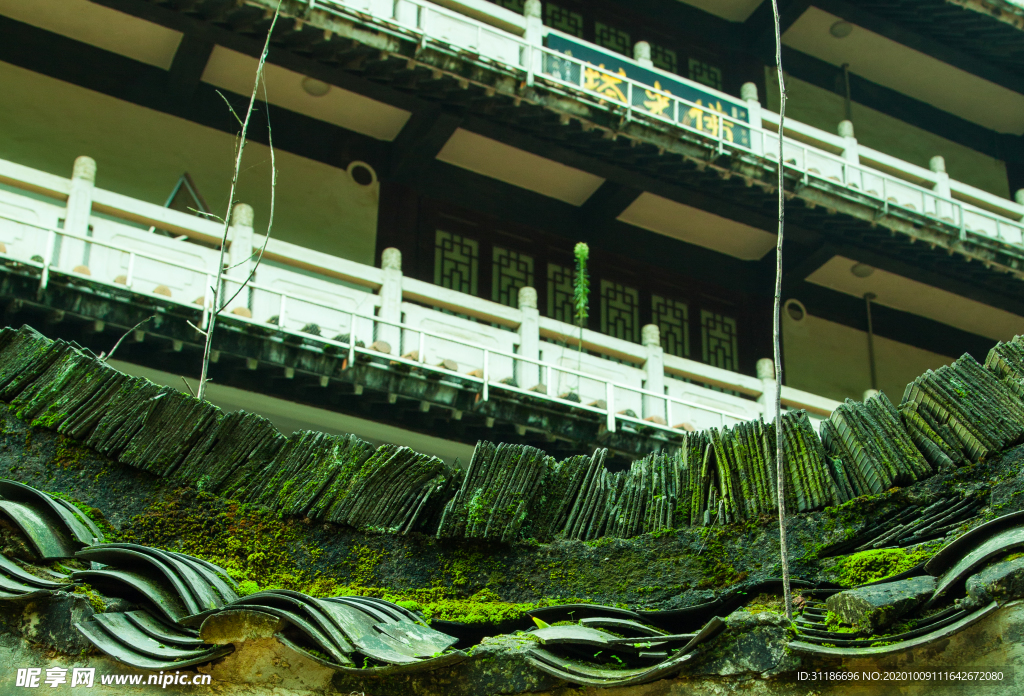 洪山寺