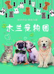 宠物海报