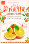 赣南脐橙水果